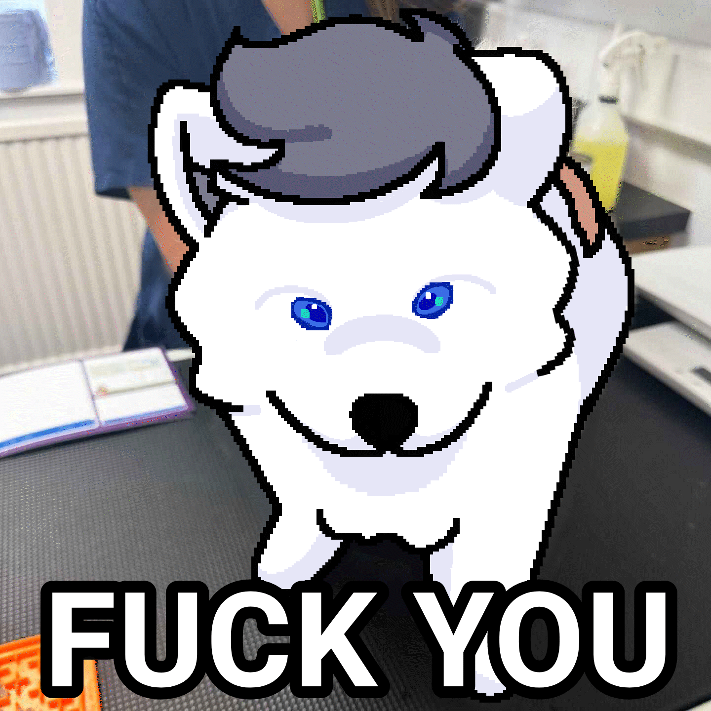 Sqyoshi Draw-over ⟋ 11-8-2024 GIFT SHITPOST 