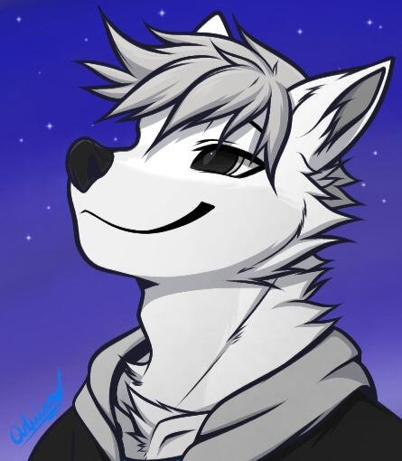 Mitchie Wolf "Calm Winds Before The Night" Bust ⟋ 12-10-2020 GIFT SOURCE 